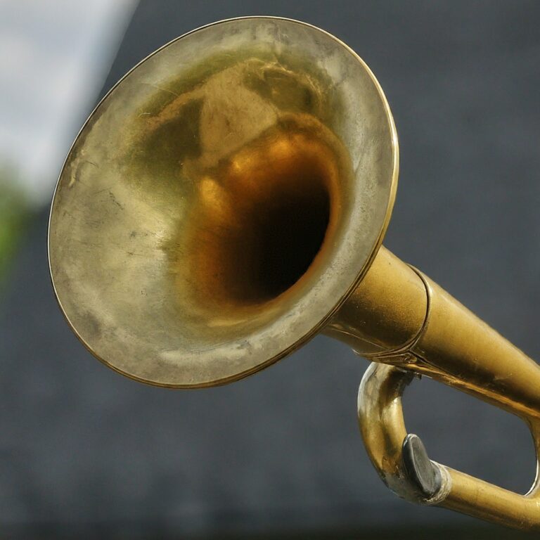 Bus Horn 1 For Bussid